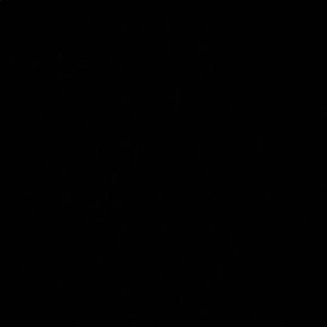 Meet your Posher, Damien